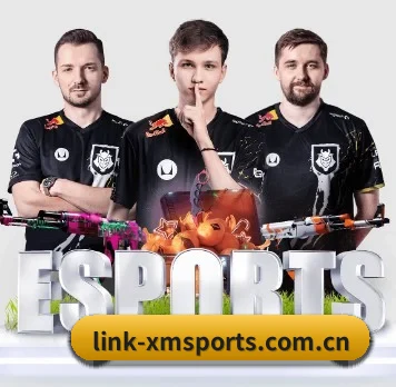 从此观赛更有深度