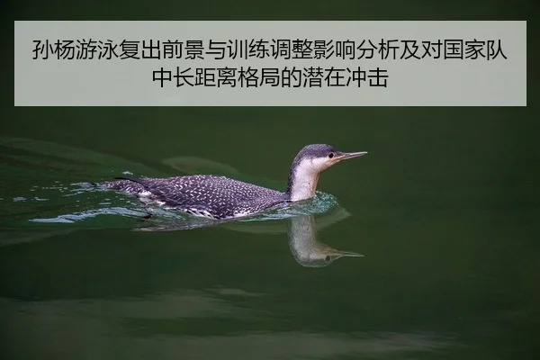 孙杨游泳复出前景与训练调整影响分析及对国家队中长距离格局的潜在冲击